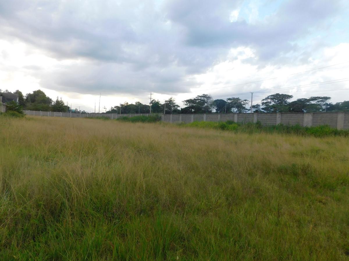 Residential Land in Karen - 2