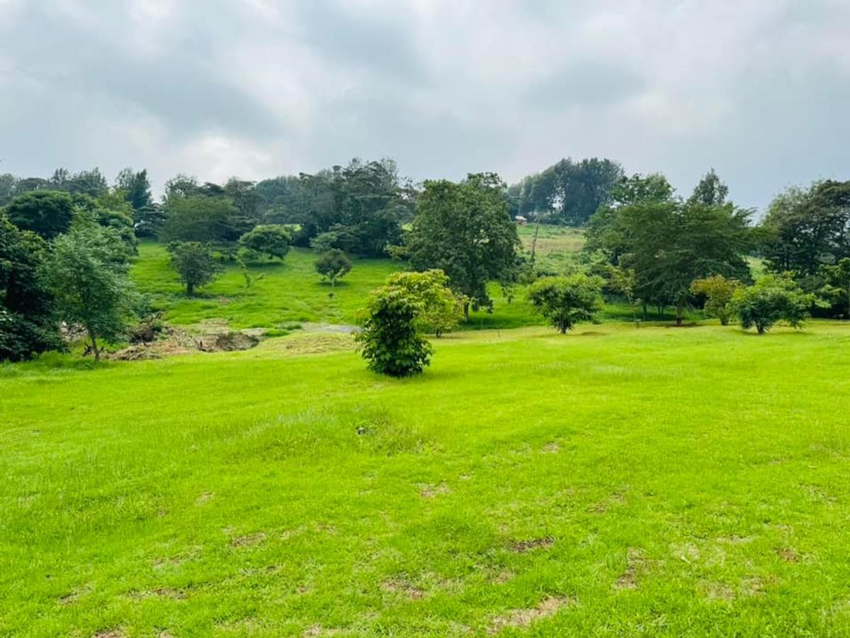 1,000 m² Residential Land at Bondeni - 9