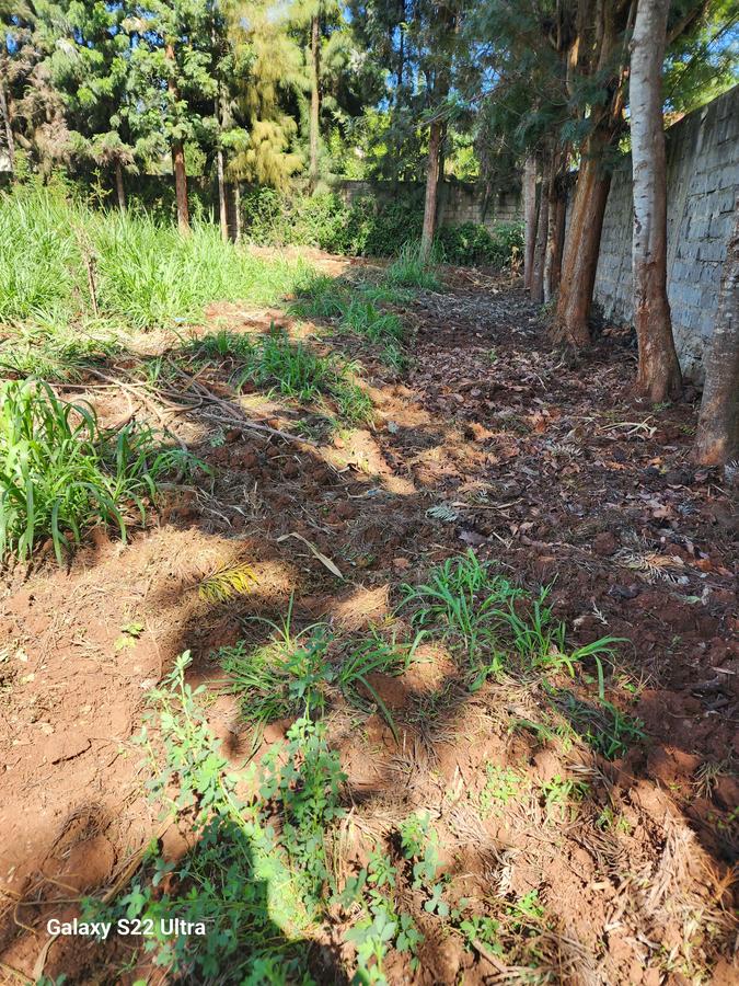 Residential Land at Thome. - 7