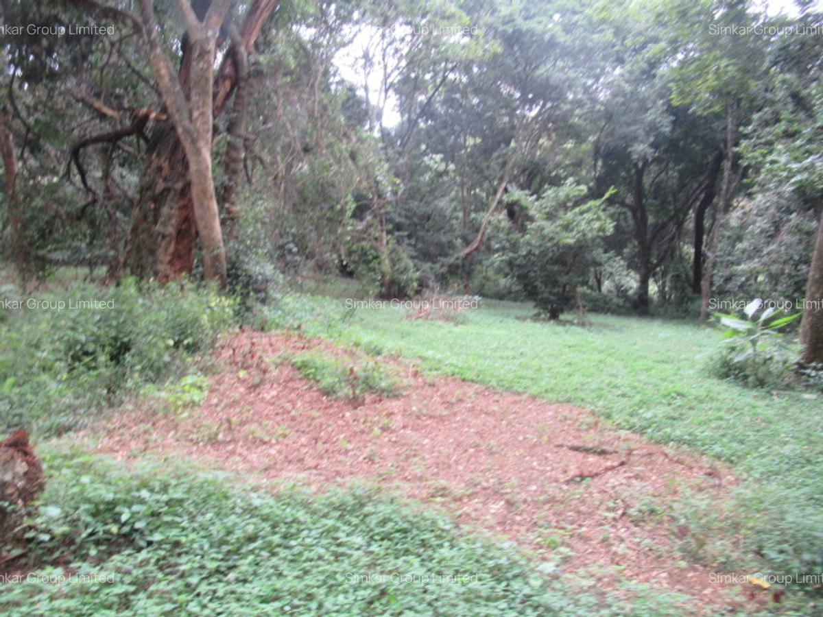 4 ac Land at Mushroom Gardens - 12