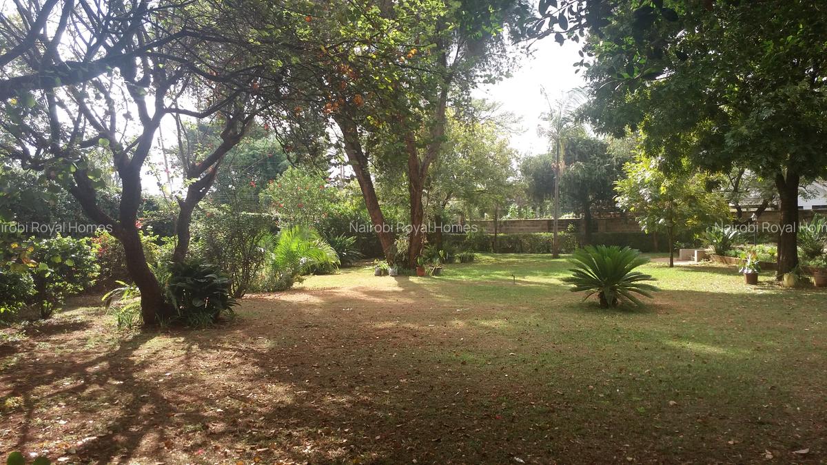 Commercial Land at Link Road - 10