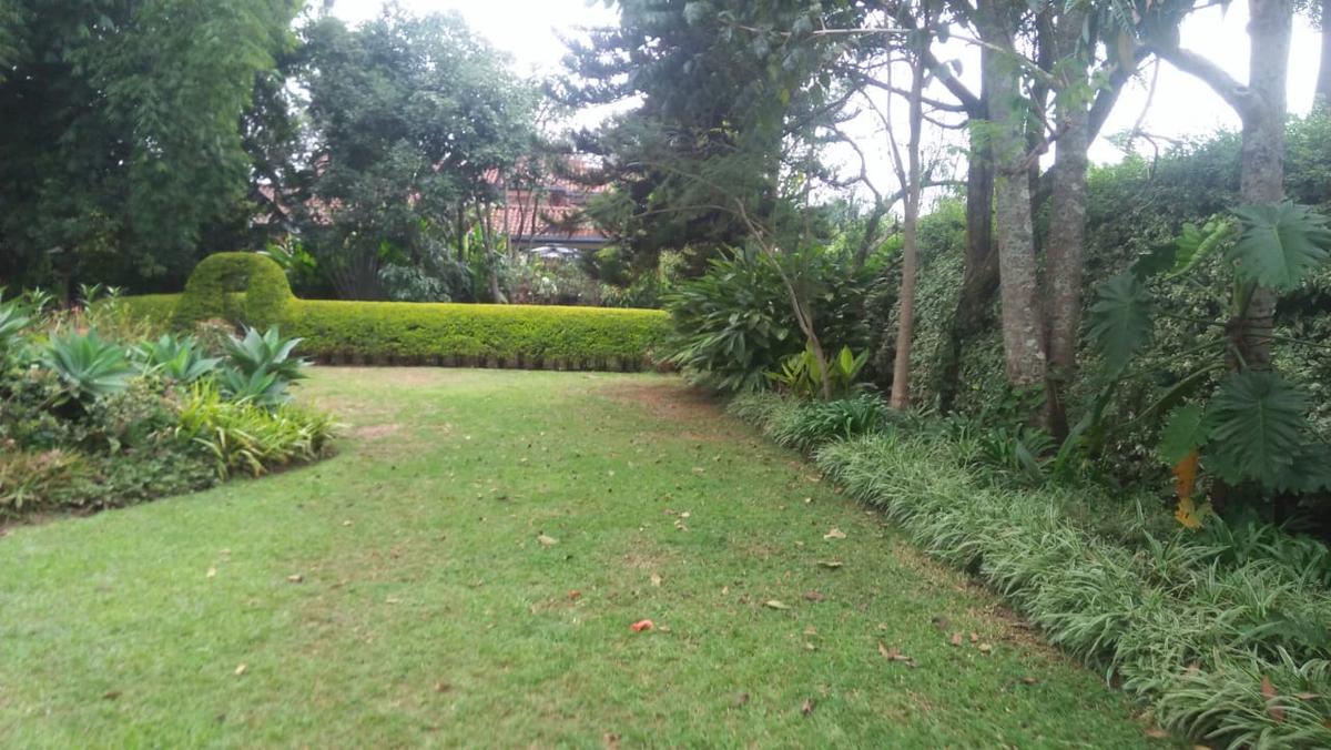 4 Bed House with Staff Quarters in Gigiri - 5