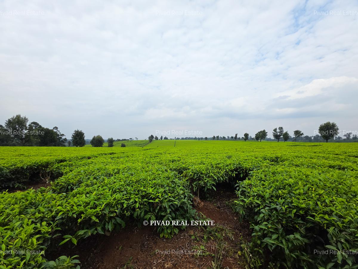 995 ac Land in Tigoni - 1