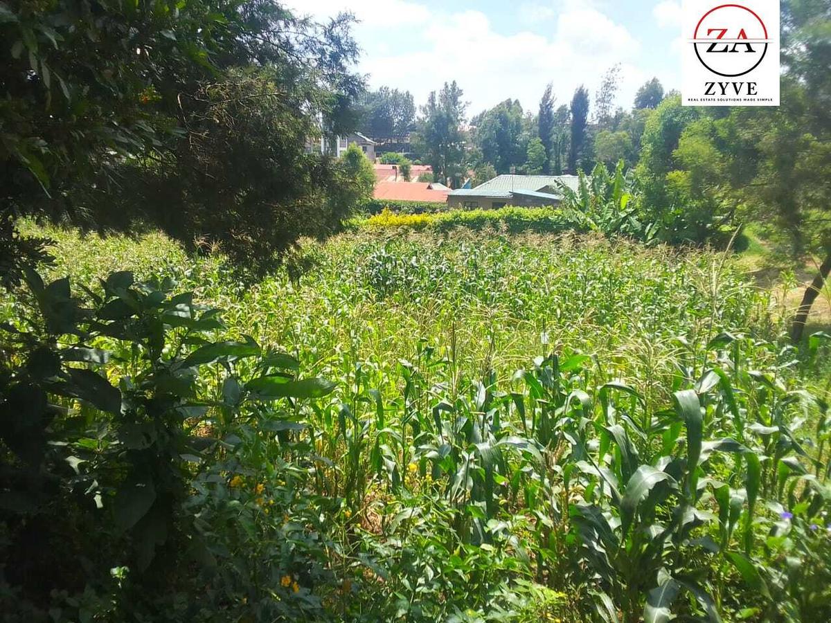 0.25 ac Land at Mwimuto - 9