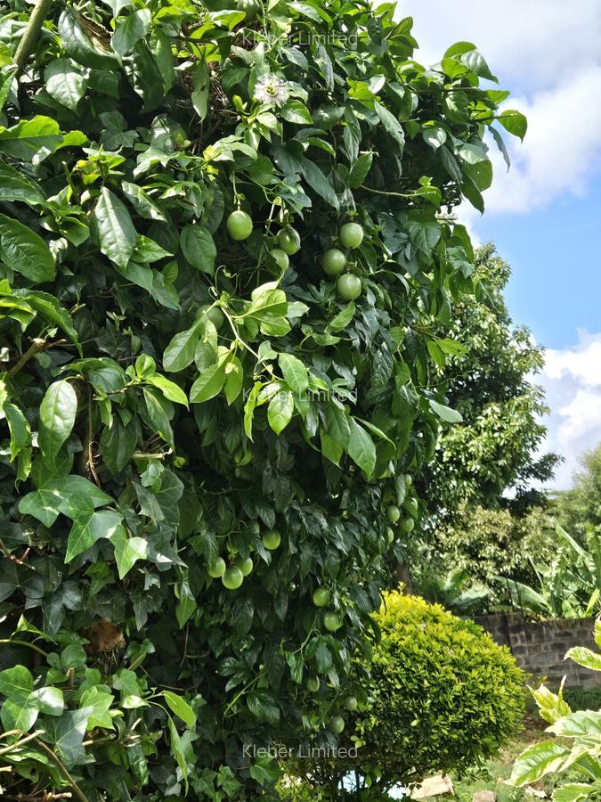 5 Bed House with En Suite in Ngong - 19