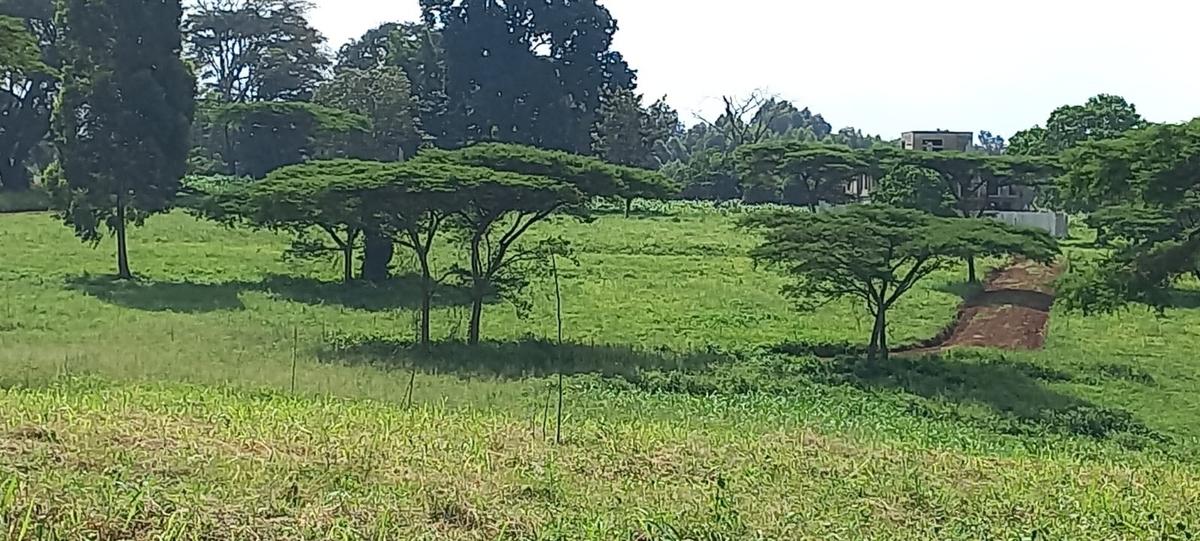 Residential Land in Kiambu Road