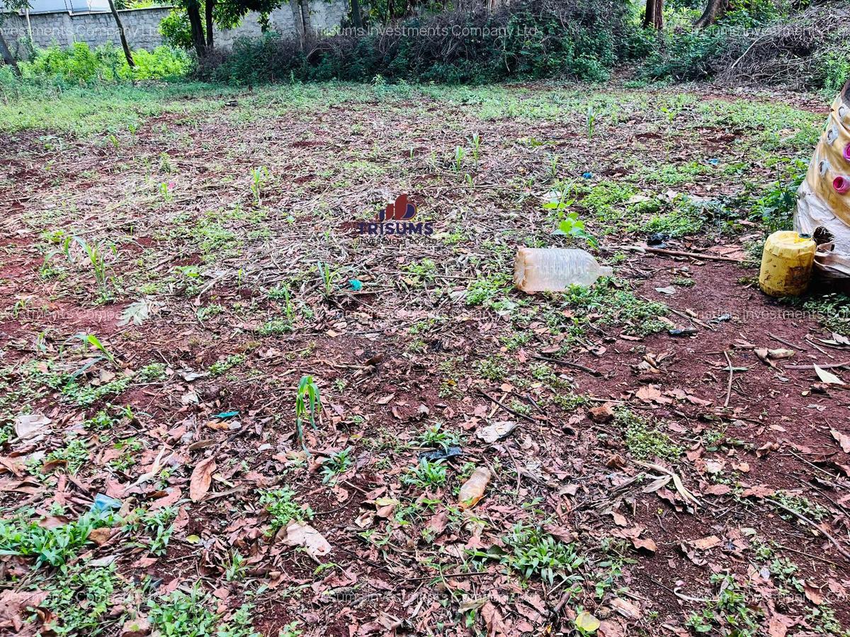 0.85 ac Land in Westlands Area - 7