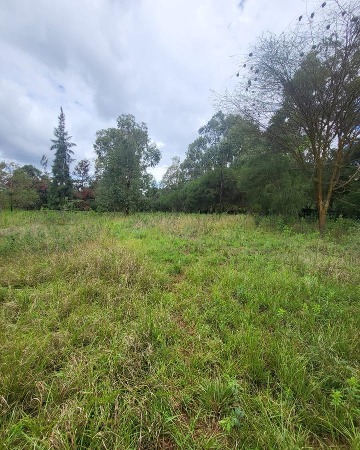 Residential Land in Ridgeways - 1