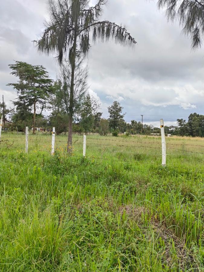 5 ac Land at Karen - 1