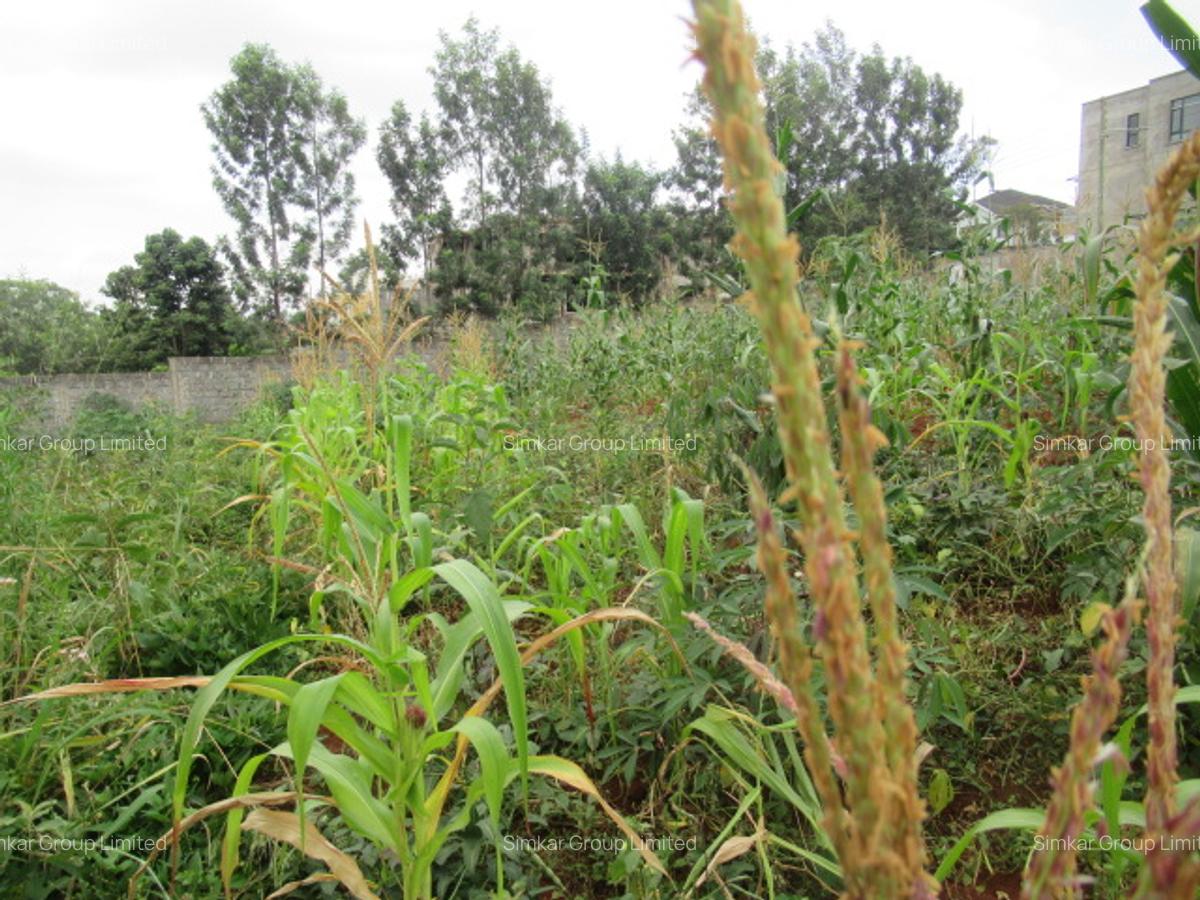 Residential Land at Mushroom Gardens - 12