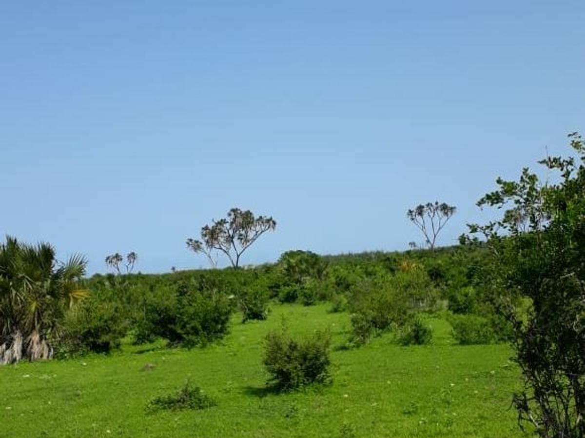 202,350 m² Land in Vipingo - 3