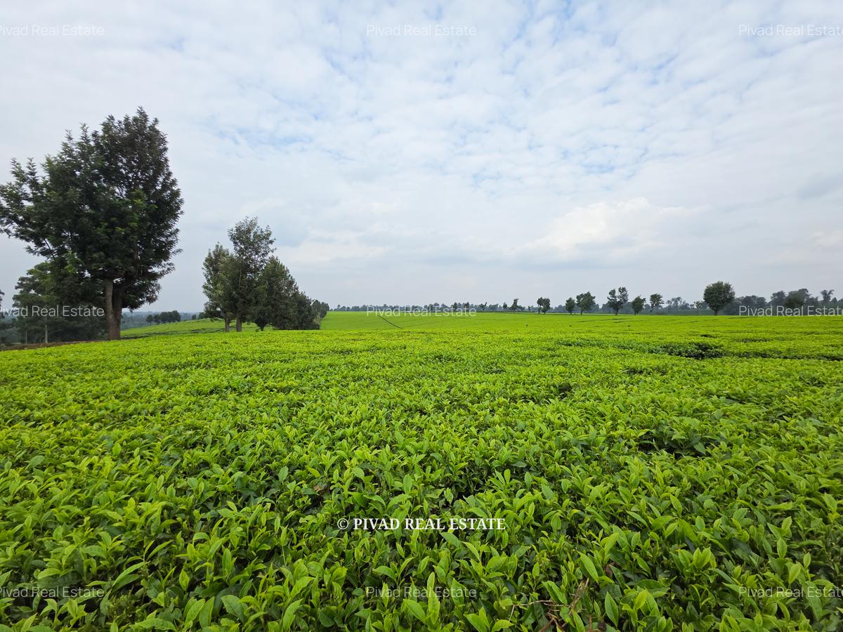 995 ac Land in Tigoni - 6