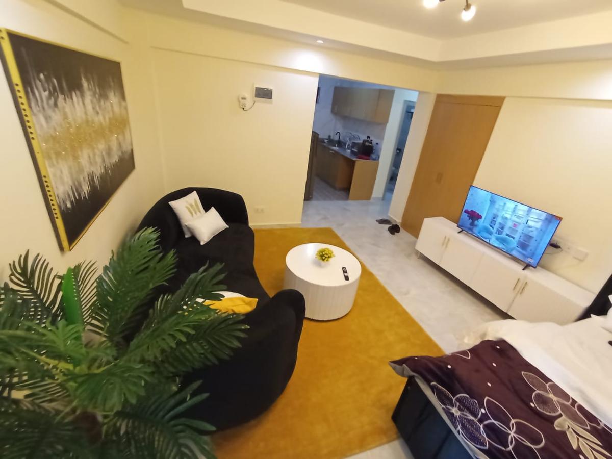 Serviced Studio Apartment with En Suite at Kangundo Rd - 8