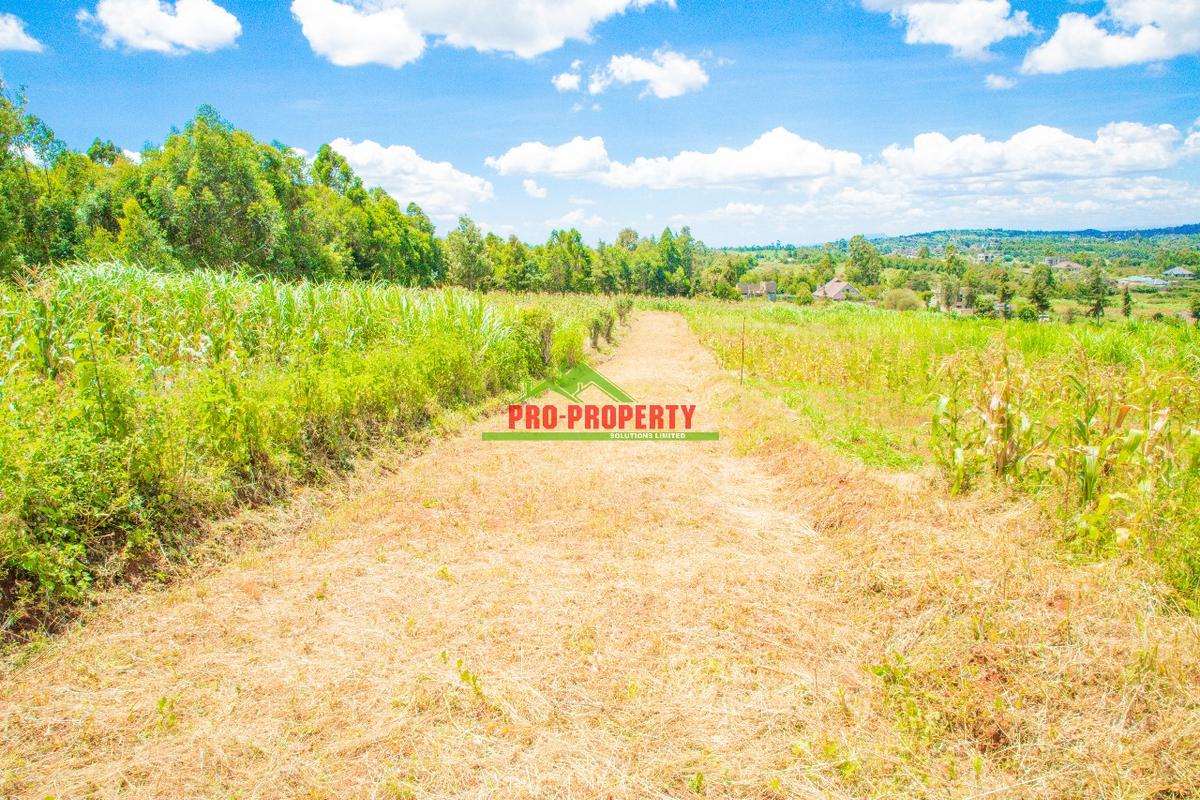 0.05 ha Residential Land at Gikambura - 10