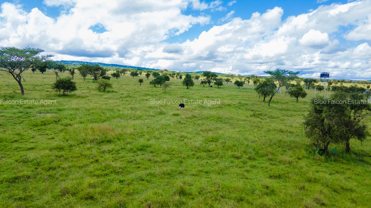 Land at Maanzoni - 6