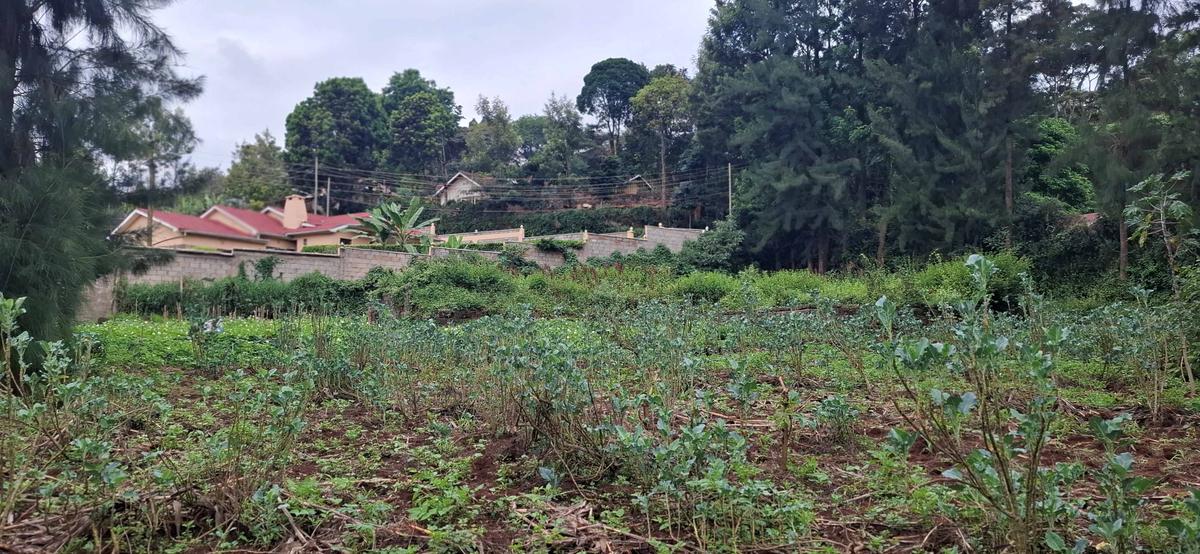 0.5 ac Land in Ngong - 6