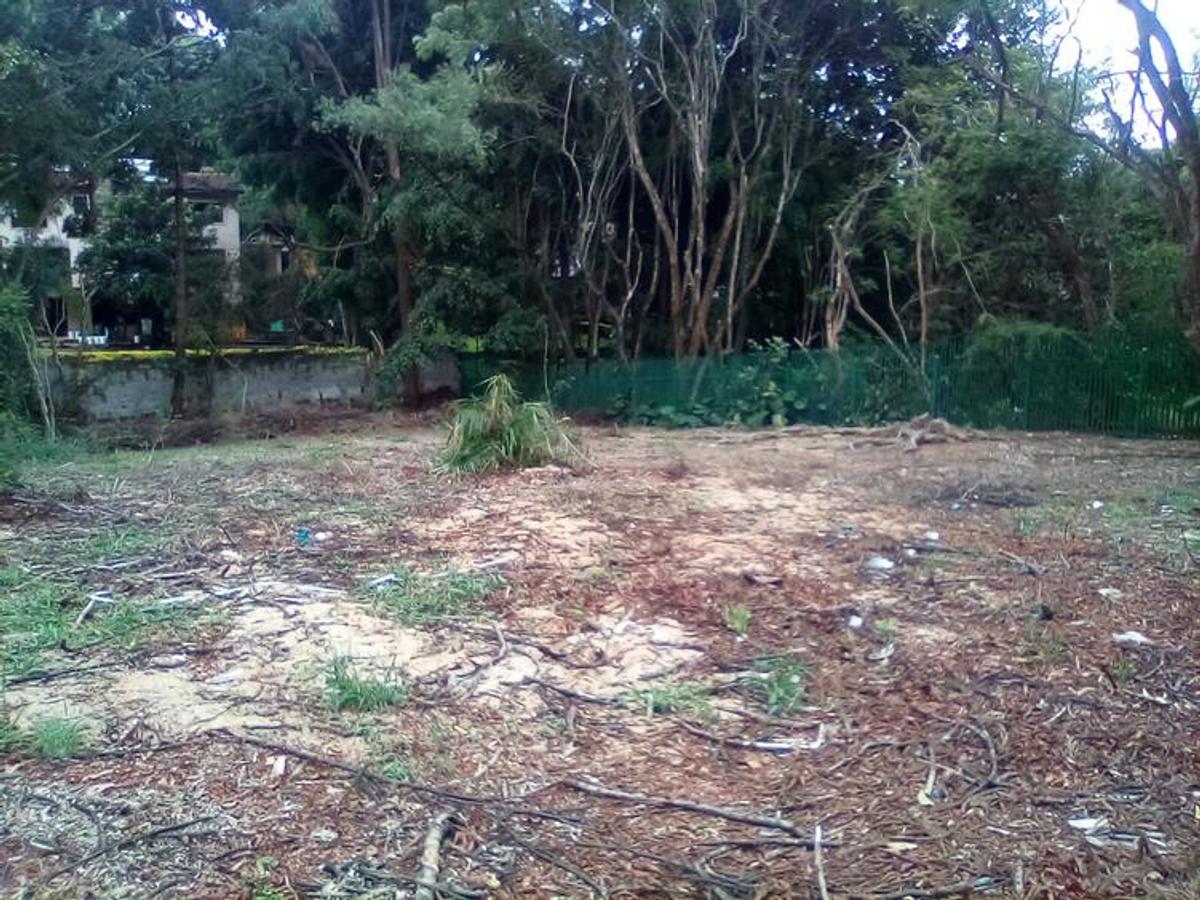 0.781 ac Land at Convent Road - 4