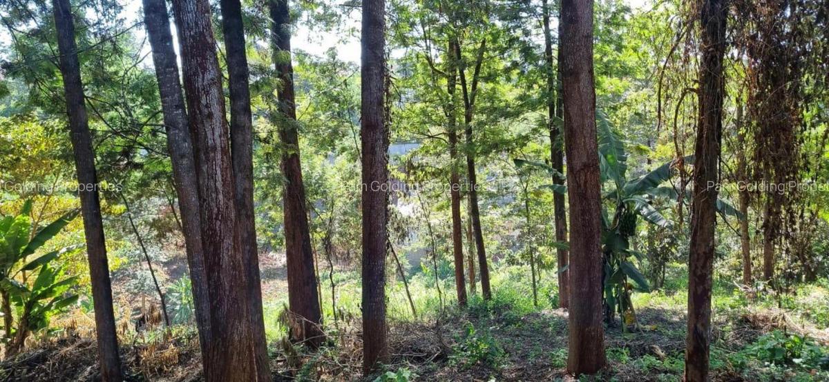 0.5 ac Land at Kirawa Road - 3