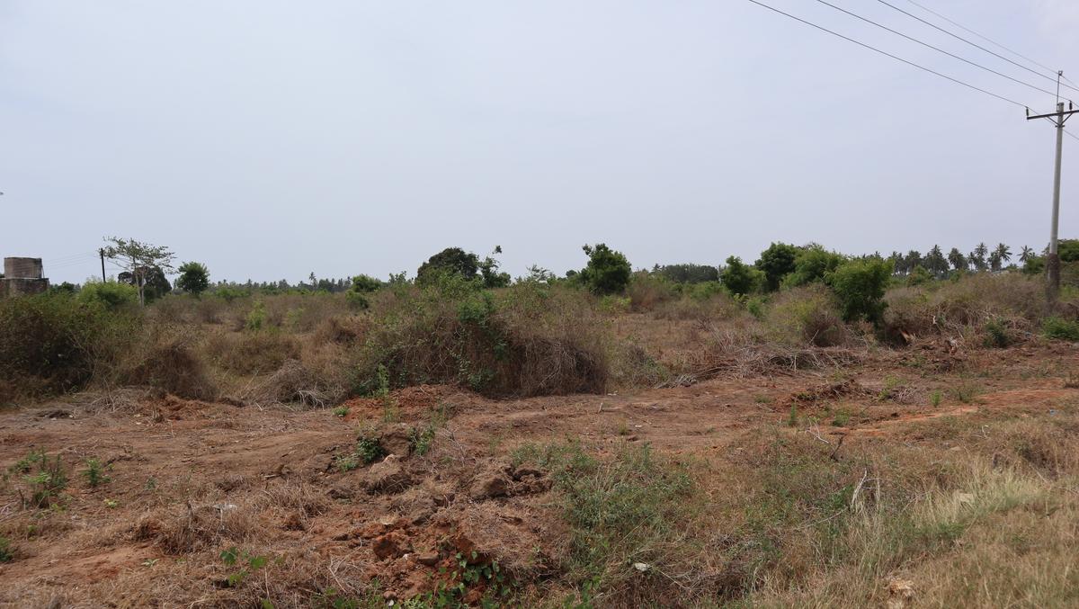 20 ac Land at Kikambala - 5