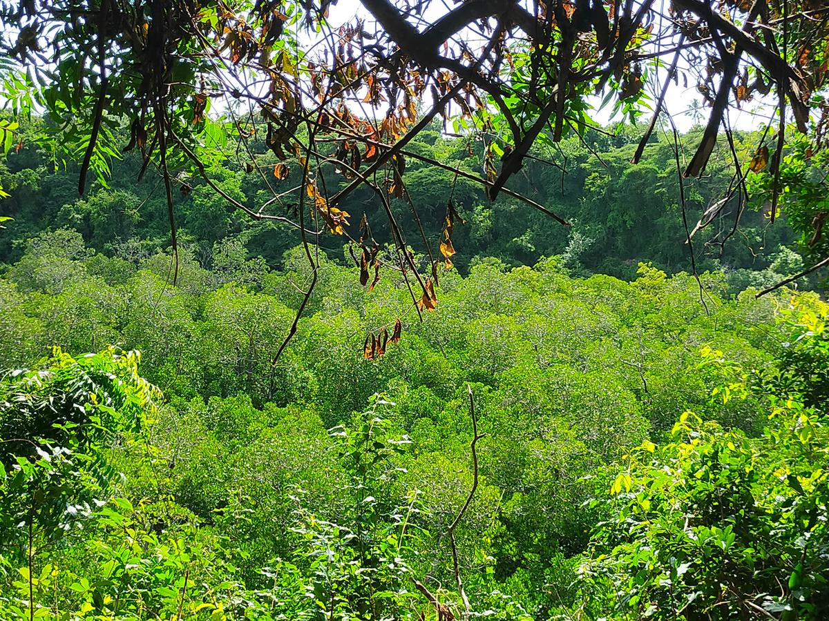 Land in Kilifi County - 14