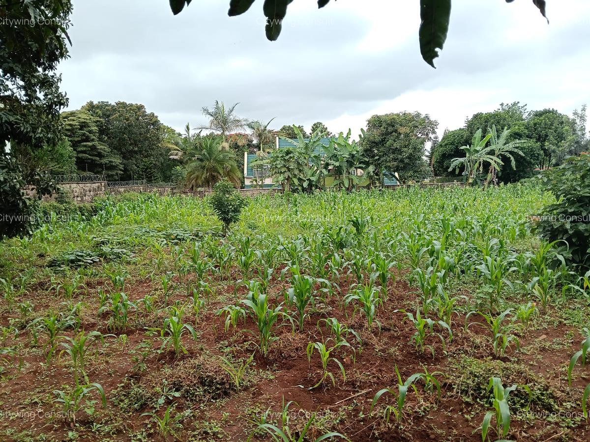 Land at Mimosa Road - 7