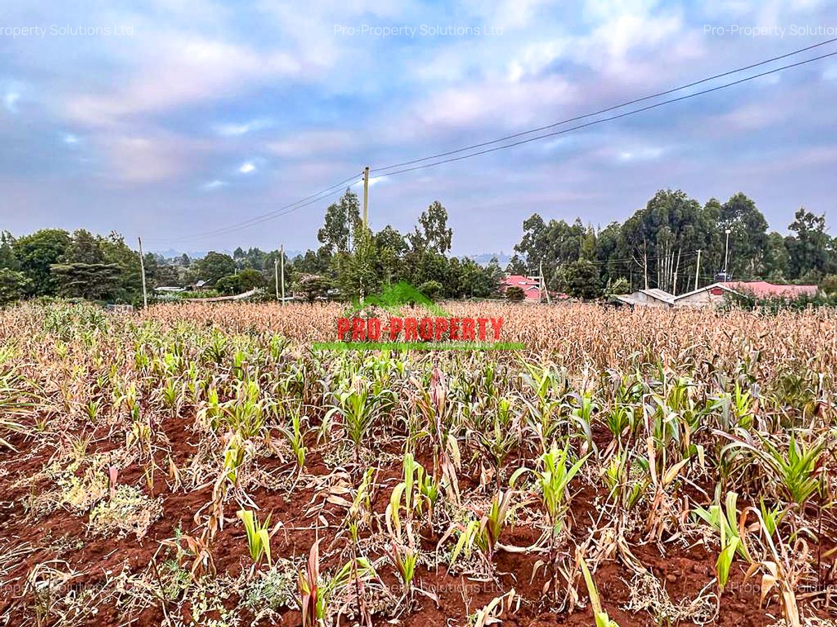 0.05 ha Residential Land in Kamangu - 11
