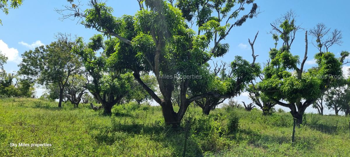 25 ac Land at Mtwapa - 15