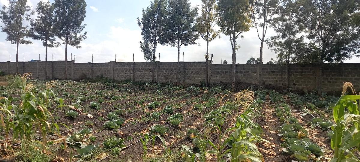 0.05 ha Residential Land at Namanga Rd - 5