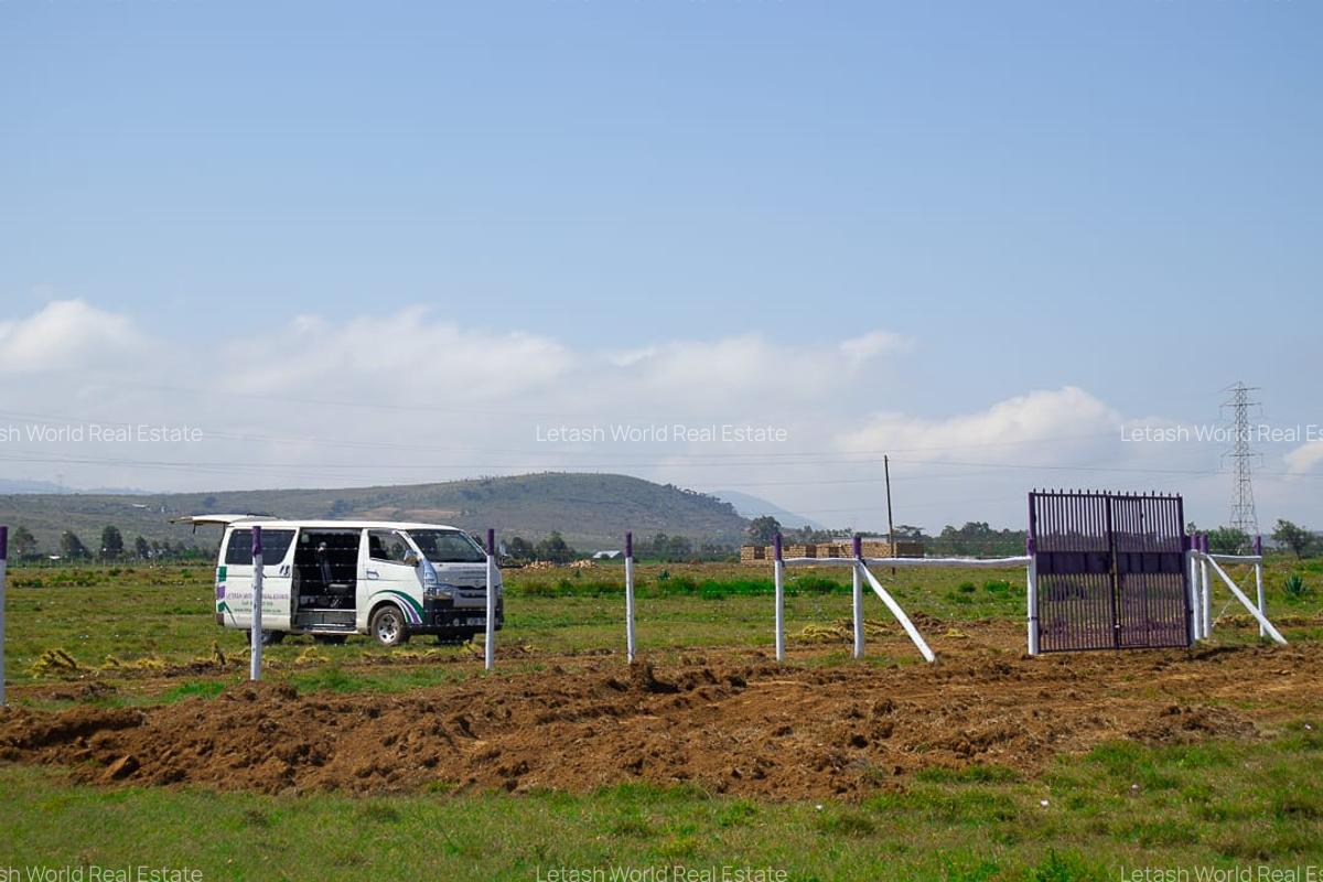Land in Naivasha - 6