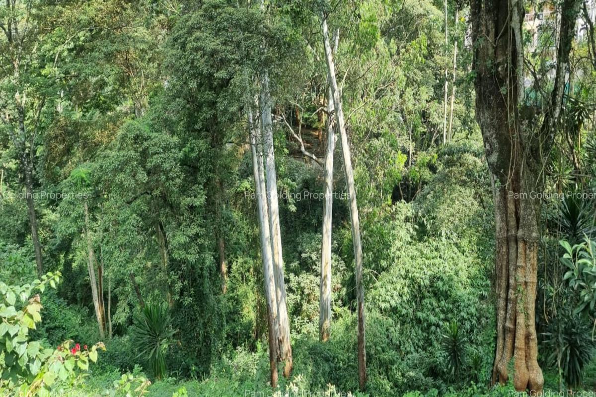 0.49 ac Land at Kitisuru Rd. - 1