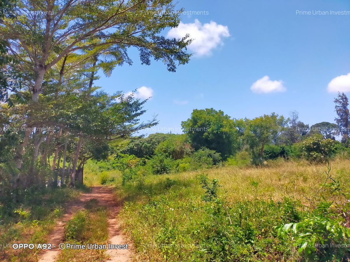 Land in Mtwapa - 11