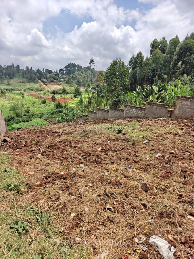 0.125 ac Land in Ruaka - 4