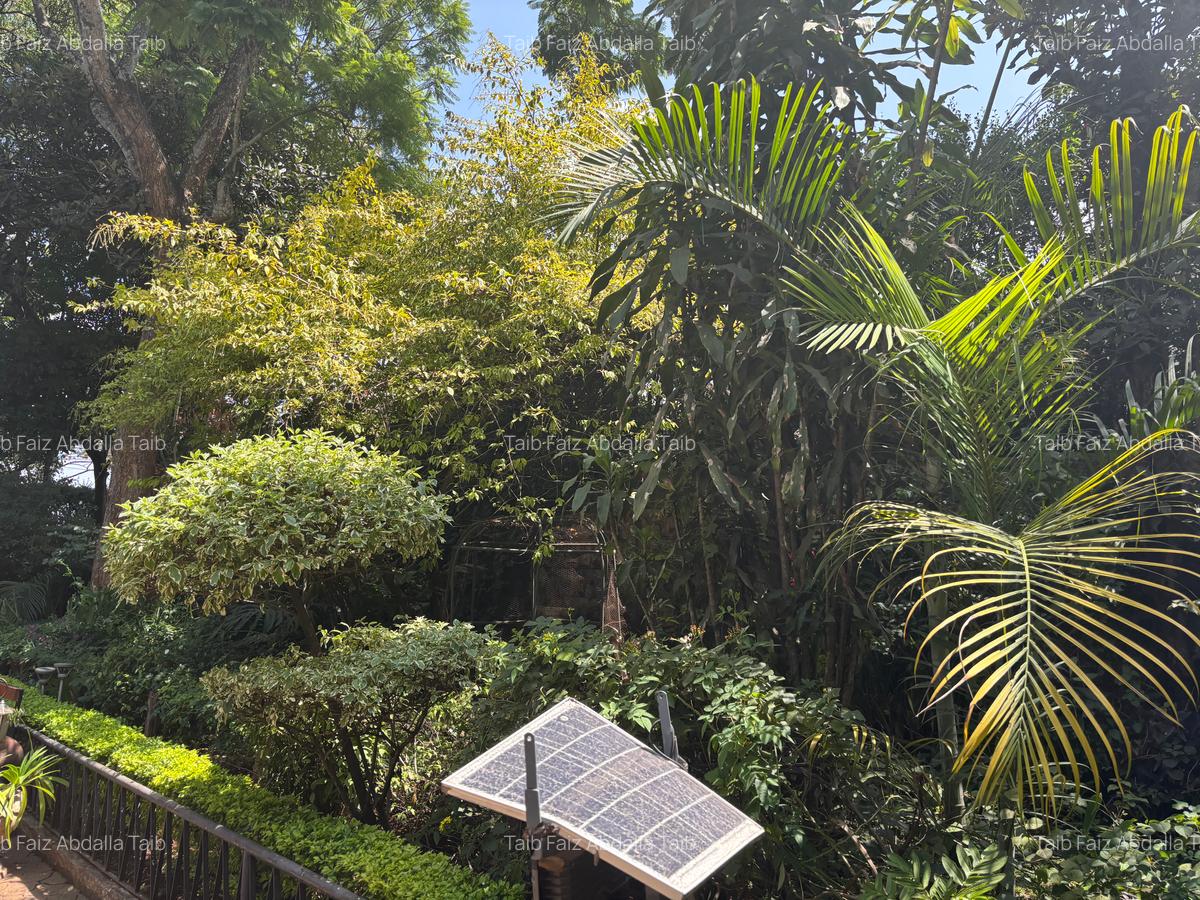 0.5 ac Land at Woodlands Road - 3