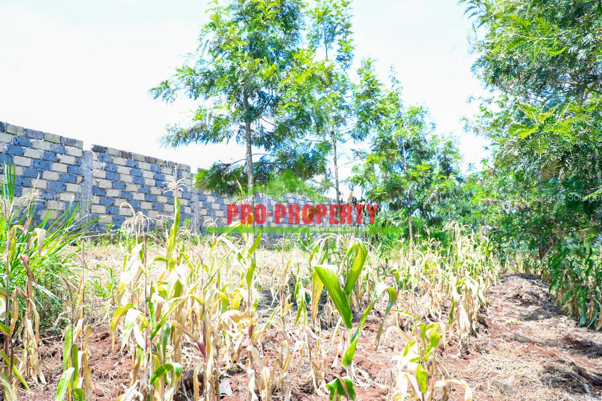 0.1 ha Residential Land at Thamanda - 2