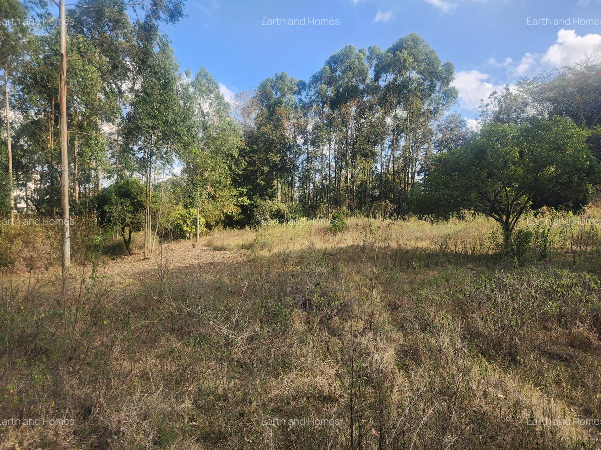 1 ac Commercial Land at Kerarapon - 4