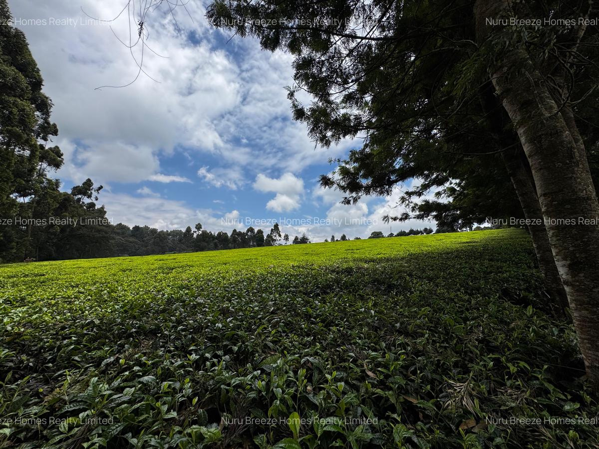 0.5 ac Land in Redhill - 2