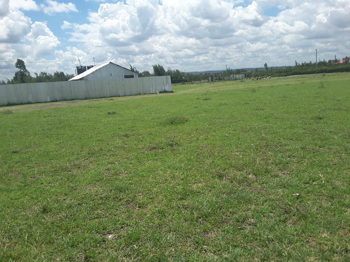 0.1 ha Residential Land in Ongata Rongai - 6