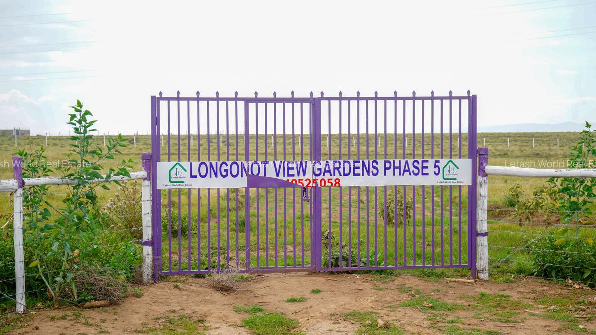 Residential Land in Naivasha - 3