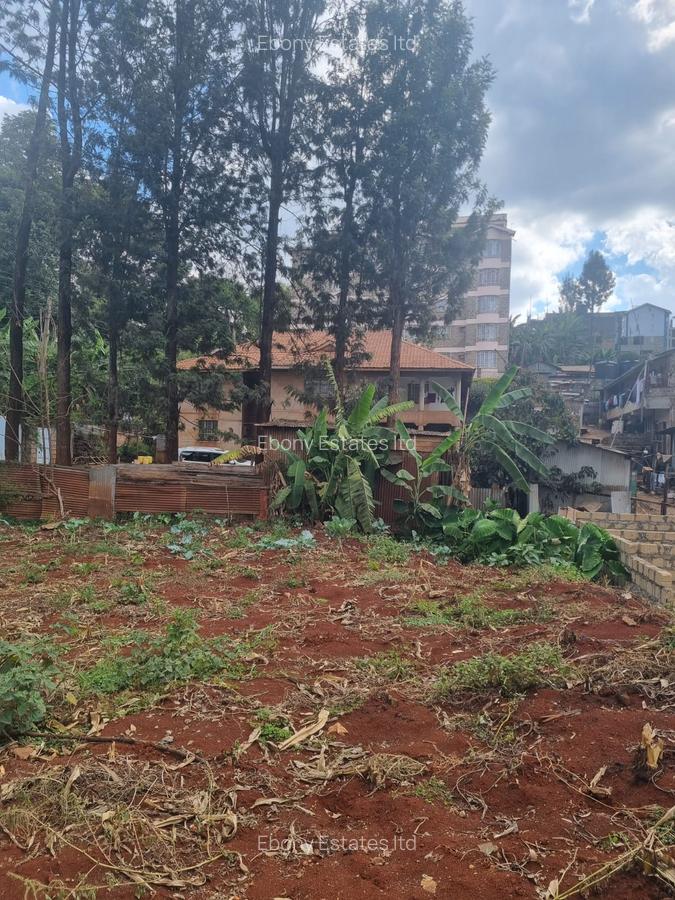 Residential Land at Ruaka Hill Road - 7