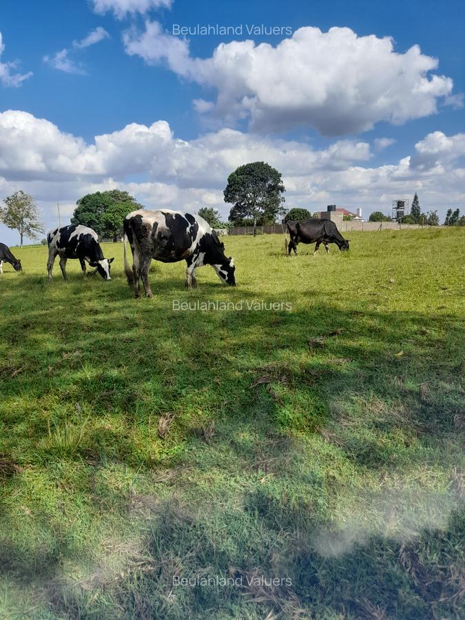 Land at Kiambu Road - 4