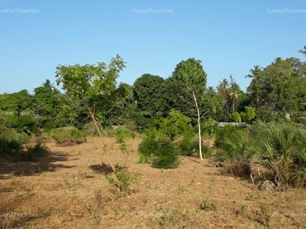 32,376 m² Residential Land in Mtwapa - 4