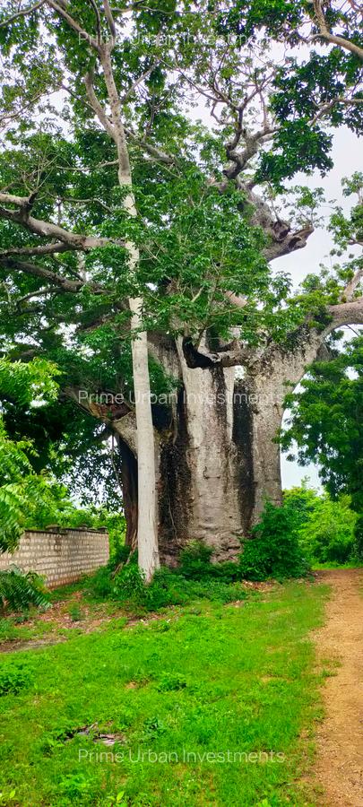 Land in Vipingo - 15