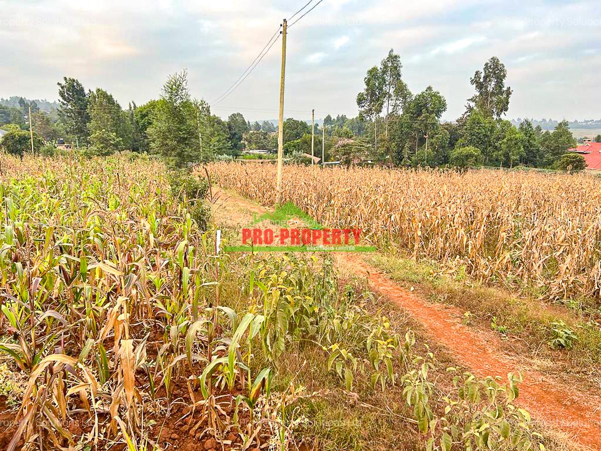 0.05 ha Residential Land in Kamangu - 12