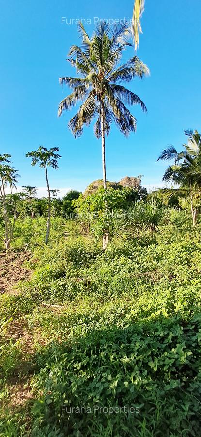 Land at Kwale - 4