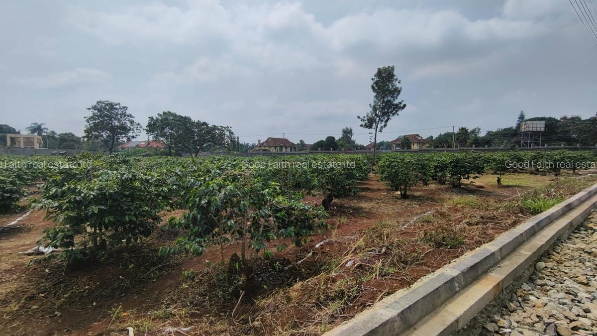 Land in Runda - 4