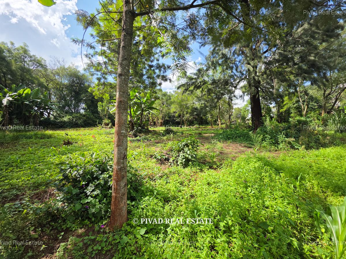 2.3 ac Land in Kitisuru - 4