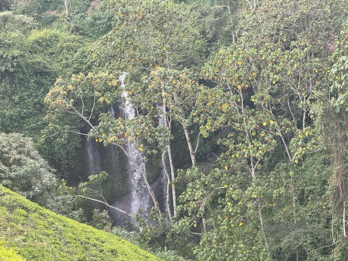 RIVERSPRINGS ESTATE TIGON in Tigoni, Kiambu County - 6