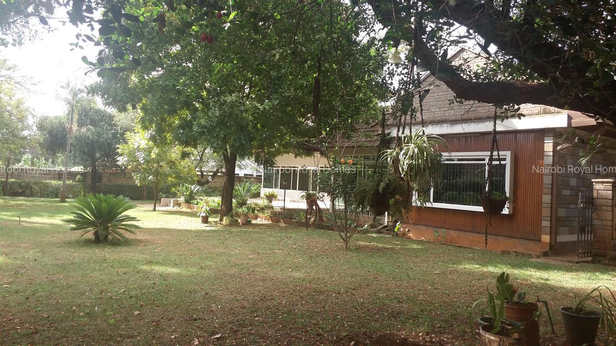 Commercial Land at Link Road - 11