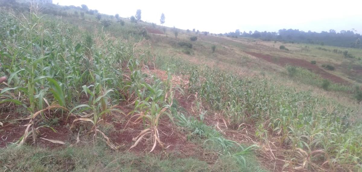 64,000 ft² Land at Kiambu Riabai - 11