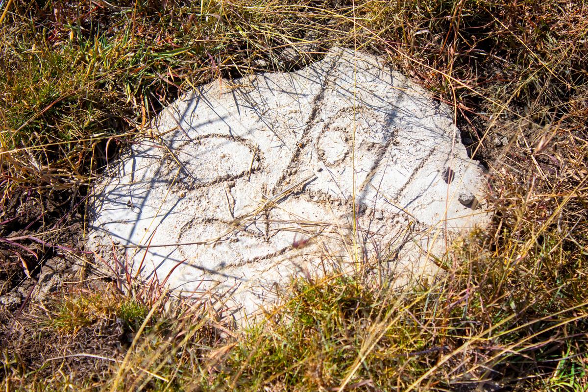 Land in Nanyuki - 7